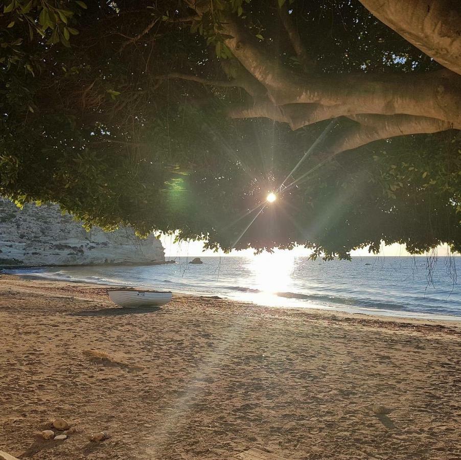 Casa Barbados En Agua Amarga Lägenhet Agua Amarga  Exteriör bild